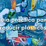 Guía práctica: plantar cepillos de bambú en casa