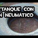 Guía simple para plantar ocas en tu jardín. ¡Aprende ahora!
