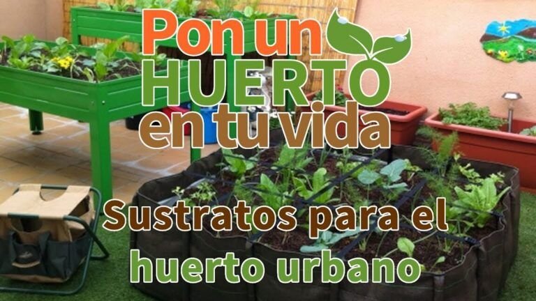 guias completas de jardineria para principiantes consejos esenciales para comenzar tu huerto