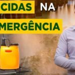 herbicidas pre emergentes