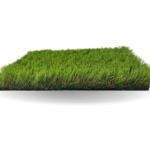 Hilo Rojo en el Césped: Causas, Síntomas y Tratamiento Efectivo