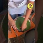 Descubre el secreto para vencer los problemas del escarabajo de la hoja del frijol y salvar tu cosecha