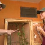 Dos personas junto a un cajón de cultivo mostrando semillas y tallos verdes, Plantar frijoles en casa.