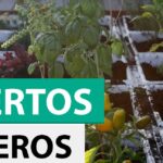 Semilleros con plántulas, hierbas y pimientos en un huerto urbano; ¡Descubre cómo plantar deliciosos canónigos en tu propio huerto!