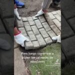 Transforma tu verano con el jardín épico que siempre has soñado y descubre los secretos que nadie te ha contado