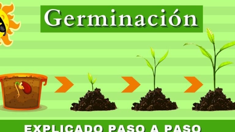 iniciar semillas