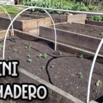 Descubre qué se puede plantar en un invernadero pequeño y cómo maximizar su uso en camas elevadas con arcos de soporte y plantines recién sembrados.