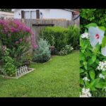 Descubre qué se puede plantar en verano para disfrutar de un jardín florido y frondoso con césped bien cuidado, arbustos morados y flores blancas de gran tamaño.