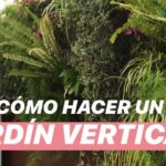 Descubre qué se puede plantar en un jardín vertical: Las mejores opciones para tu espacio verde con helechos y plantas colgantes en una pared vegetal junto a una puerta.