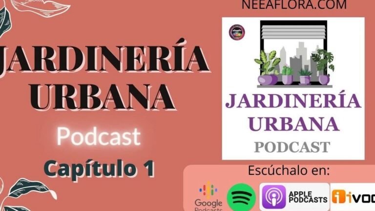 ¡Cultiva yacones en tu jardín!