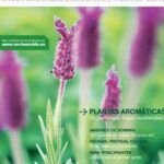 Jardines sin derrochar agua: Plantas de bajo consumo que embellecerán tu espacio exterior