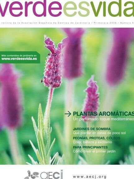 jardines sin derrochar agua plantas de bajo consumo que embelleceran tu espacio exterior