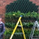 jardines verticales