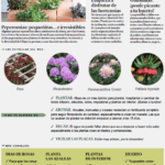 ¡Junio comienza la cosecha! Descubre qué plantar en tu huerto
