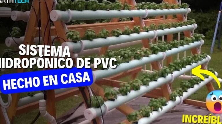 Descubre el sorprendente origen de la hidroponía y cómo revolucionó la agricultura para siempre