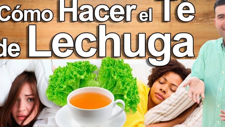Descubre el secreto para cultivar lechuga y disfrutar de cosechas abundantes todo el año