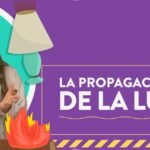 Descubre los 12 Errores Fatales al Propagar Tus Plantas de Interior y Transforma Tu Jardín en un Paraíso Verde