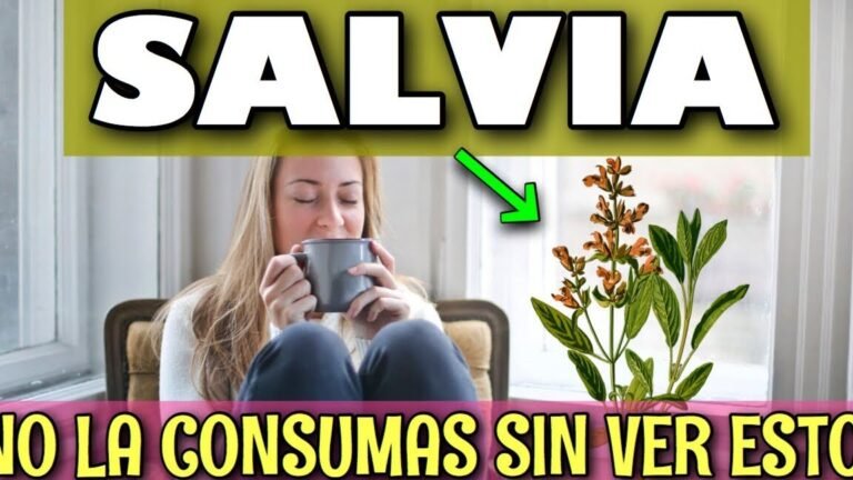 Descubre los 19 tipos de salvia que transformarán tu jardín en un paraíso verde