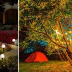 Las 10 mejores herramientas de corte para tu jardín