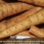Descubre el sorprendente mundo de los chirivías, el primo pálido de la zanahoria que cambiará tu cocina para siempre