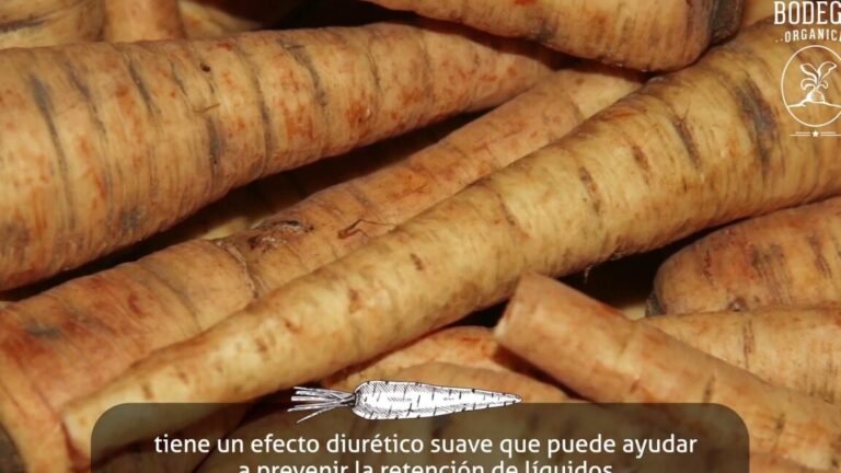 Descubre el sorprendente mundo de los chirivías, el primo pálido de la zanahoria que cambiará tu cocina para siempre