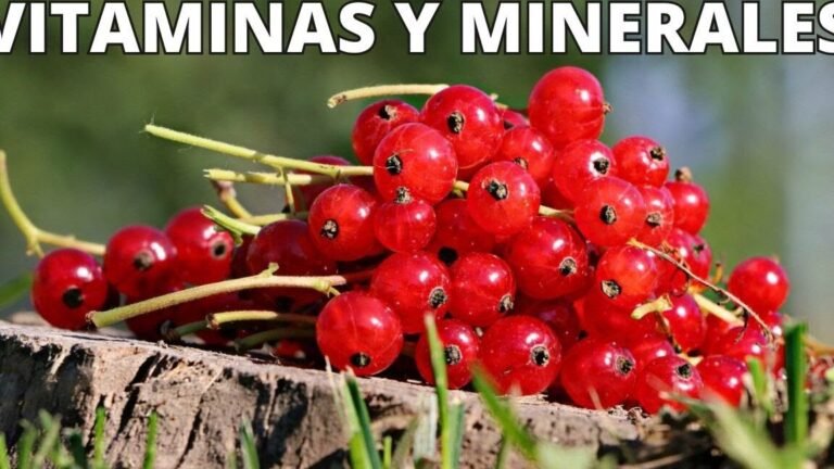 ¡Descubre cómo plantar deliciosas grosellas en tu jardín!