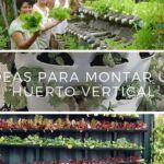 Las mejores opciones de plantas para crear tu jardín vertical en casa