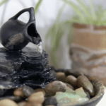 Las mejores opciones de plantas para transformar tu jardín en un oasis en climas cálidos