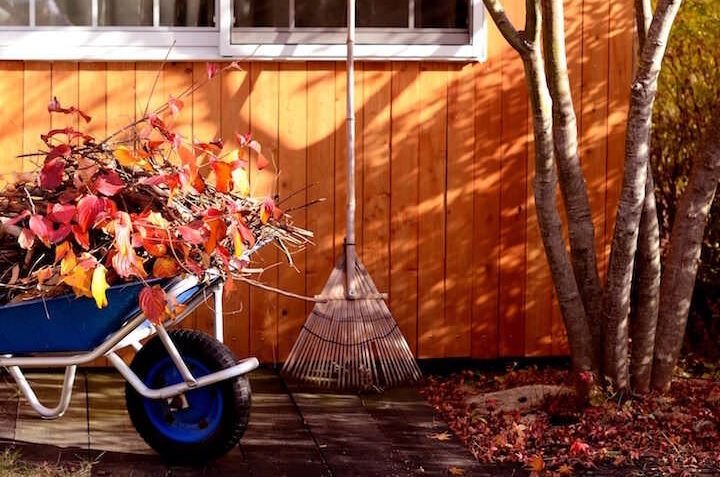 las mejores opciones en palas y rastrillos de jardineria para cuidar tu jardin