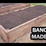 Descubre cómo un invernadero en tu jardín puede salvar tus plantas del clima extremo