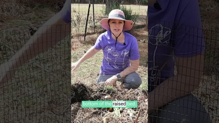 Descubre los secretos para hacer crecer tu jardín de frambuesas como un experto