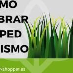 Logra un césped verde en tierra seca con estos consejos