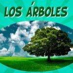 los arboles