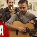 Descubre los 26 tipos de remolachas que transformarán tu huerto y sorprenderán a todos