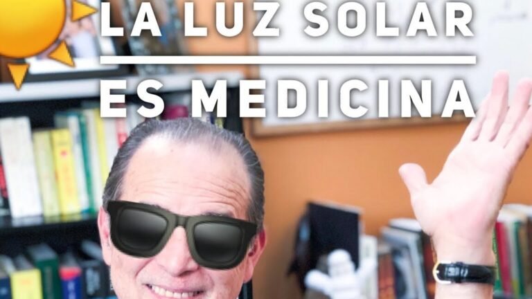 Secretos para plantar Tillandsias con éxito