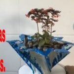 Descubre el secreto para proteger tus macetas en invierno y disfrutar de plantas todo el año