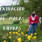 malas hierbas