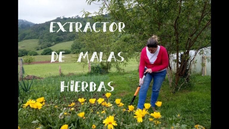 Descubre estos 15 secretos infalibles para mantener a raya las plagas en tu jardín de forma natural