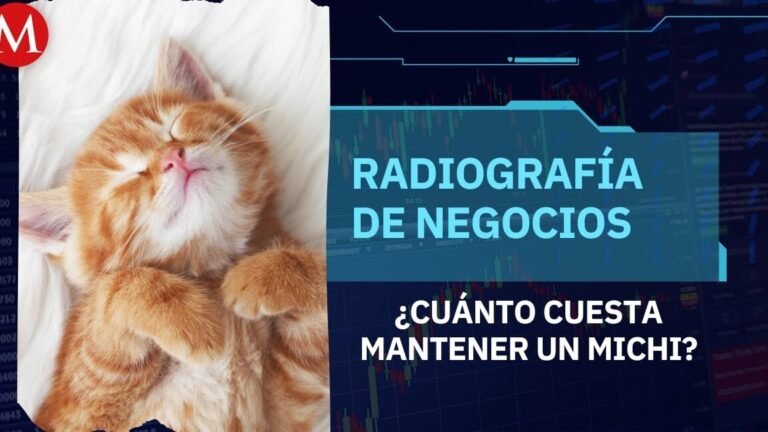 Descubre los secretos para mantener a los gatos fuera de tu jardín y proteger tus plantas de manera efectiva