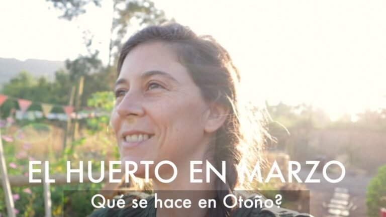 Descubre qué se puede plantar en marzo en el huerto: Guía completa