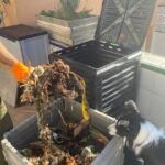 Mejora la calidad de tu suelo con vermicompost: Guía completa de uso