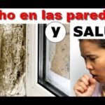Descubre cómo identificar y prevenir el moho polvoriento en tus tomates para disfrutar de una cosecha perfecta
