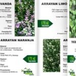 muros verdes