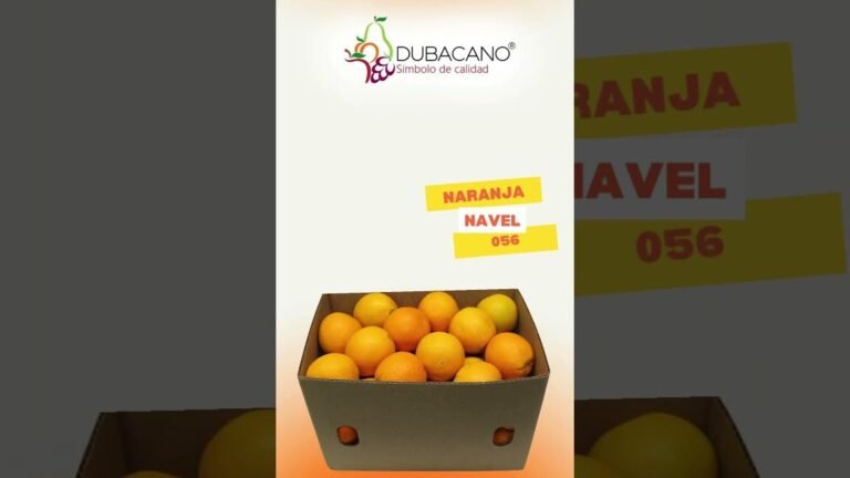 Descubre el secreto para tener un naranjo que da las frutas más dulces que jamás hayas probado