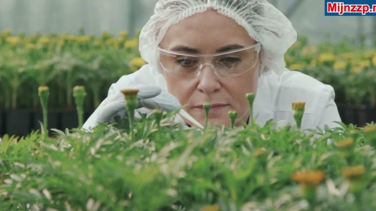 Descubre las 27 plantas nativas que transformarán tu jardín en un paraíso para polinizadores este otoño