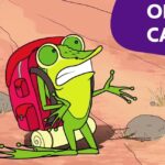 Descubre los secretos para salvar tus plantas del calor extremo con estos 15 consejos infalibles