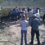 Optimizando tu cosecha: ¿Cuántos olivos por hectárea?