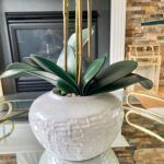 Orquídeas en jarrones de cristal: guía completa de plantación