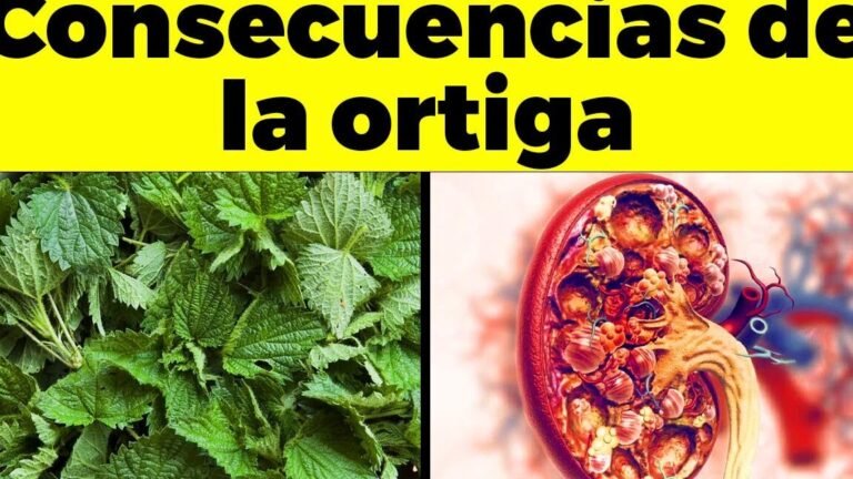 Descubre el secreto para plantar ortigas mayores sin picaduras