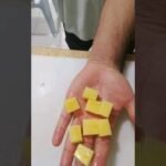Descubre el secreto de cultivar papas en un balde ¡Espacio reducido, cosecha abundante!